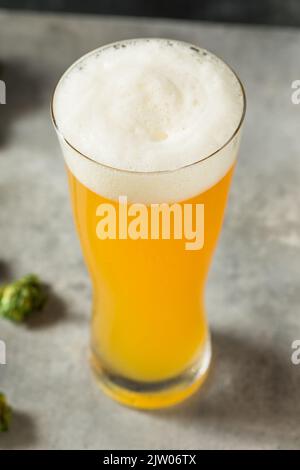 Bière artisanale à l'IPA rafraîchissante à froid dans un grand verre Banque D'Images