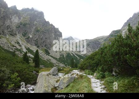 Le sentier de randonnée vers Teryho Chata, la plus haute cabane de montagne qui fonctionne toute l'année dans la petite vallée froide, haute Tatras, Slovaquie, Europe Banque D'Images