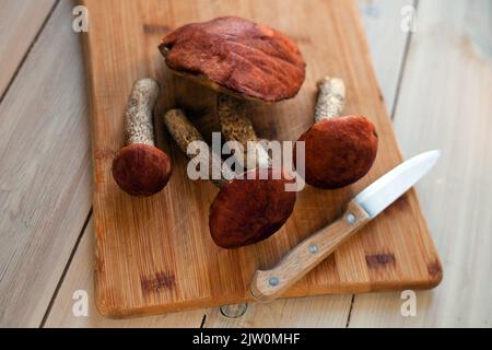 Chapeau brun Boletus -beaucoup de champignons frais comestibles sur table de cuisine en bois Banque D'Images