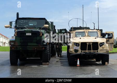 Les remplacements de véhicules tactiques moyens du corps des Marines des États-Unis et les véhicules tactiques légers interarmées de la division marine 3D sont organisés à l'appui d'un exercice de la Force opérationnelle aérienne terrestre (ACM) d'alerte de contingence à la station aérienne du corps des Marines Futenma, Okinawa, Japon, le 1 septembre 2022. Les exercices réguliers de courte durée en ACM permettent de s'assurer que les Marines de la Force expéditionnaire maritime III restent prêtes à déployer et à maintenir rapidement la sécurité régionale dans l'Indo-Pacifique. (É.-U. Photo du corps marin par Cpl. Alyssa Chuluda) Banque D'Images