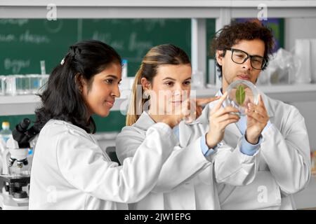 groupe de scientifiques avec leaf en laboratoire Banque D'Images