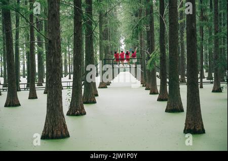 YANGZHOU, CHINE - 1 SEPTEMBRE 2022 - des touristes jouent au parc aquatique de la forêt humide du lac Luyang à Yangzhou, province de Jiangsu, Chine, 1 septembre 2022. Banque D'Images