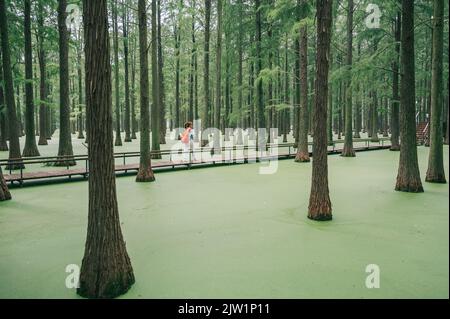 YANGZHOU, CHINE - 1 SEPTEMBRE 2022 - Un touriste joue au parc aquatique de la forêt humide du lac Luyang à Yangzhou, province de Jiangsu, Chine, 1 septembre 2022. Banque D'Images