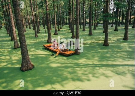 YANGZHOU, CHINE - 1 SEPTEMBRE 2022 - les touristes font une promenade en bateau dans la forêt flottante du parc forestier flottant des zones humides du lac de Luyang à Yangzhou, dans le Jiangs Banque D'Images