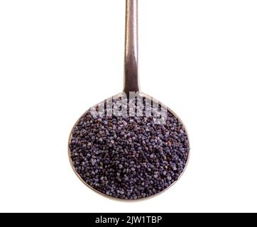Les graines de pavot sont des oléagineux obtenus à partir du pavot à opium, Papaver somniferum, récoltés à partir de gousses de graines séchées et utilisés dans la cuisine de nombreux pays Banque D'Images