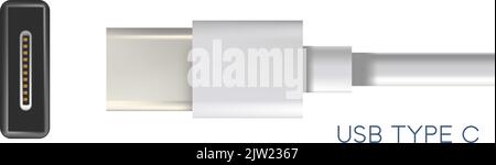 Connecteurs USB de type c, type standard pour le chargement Illustration de Vecteur