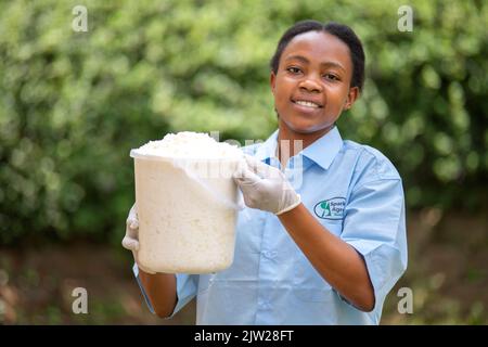 Kitende, Ouganda. 22nd août 2022. Jovia Kisaakye, l'un des fondateurs de Sparkle Agro Brands, détient un seau de lait acide fermenté, que l'entreprise utilise pour fabriquer une crème répulsive aux moustiques. (À dpa 'la jeune femme d'Ouganda développe la crème de moustique à partir du lait aigre') Credit: Stuart Tibaweswa/dpa/Alamy Live News Banque D'Images