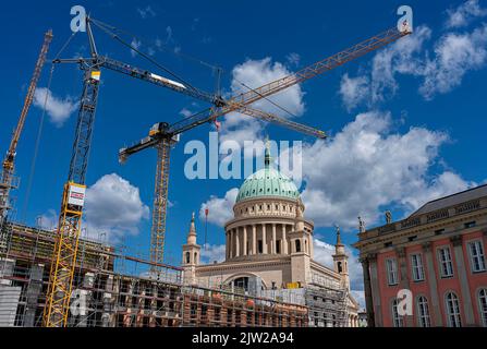 Chantier, nouveaux bâtiments à la Nikolaikirche, Potsdam, Brandebourg, Allemagne Banque D'Images