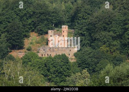 Château de Schadeck ou Nest de Swallow à Neckarsteinach, Odenwald, ville de four Castle, vallée de Neckar, Bade-Wurtemberg, Allemagne Banque D'Images