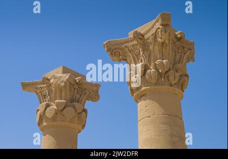 Colonnes avec des capitales Corinthiennes, Temple de Hathor, Dendera, Qina, Egypte Banque D'Images