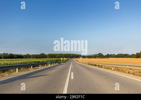 Route asphaltée droite entre les champs agricoles avec des récoltes contre le ciel bleu sans nuages le jour d'été dans la campagne Banque D'Images