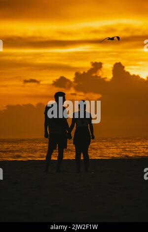 Vue arrière silhouette de couple amoureux anonyme tenant les mains et se tenant sur la plage vers la mer ondulée contre le ciel pittoresque de coucher de soleil à Clearwater Banque D'Images