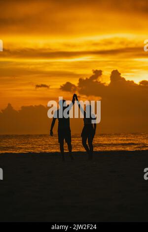 Vue arrière silhouette de couple amoureux anonyme tenant les mains et marchant sur la plage vers la mer ondulée contre le ciel pittoresque de coucher de soleil à Clearwater Banque D'Images