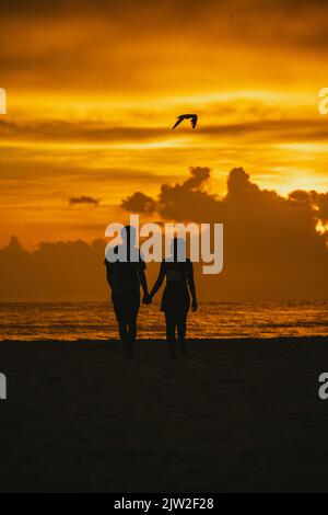 Vue arrière silhouette de couple amoureux anonyme tenant les mains et se tenant sur la plage vers la mer ondulée contre le ciel pittoresque de coucher de soleil à Clearwater Banque D'Images