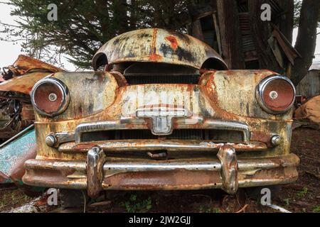 Une voiture britannique fabriquée entre 1947 et 1963, une Vanguard Standard rouillée, dans la cour d'une épave Banque D'Images