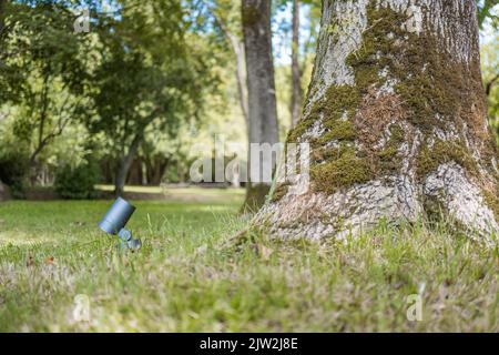 Rez-de-chaussée d'une lanterne moderne installée sur une pelouse herbacée près du tronc d'arbre le jour d'été dans le parc Banque D'Images