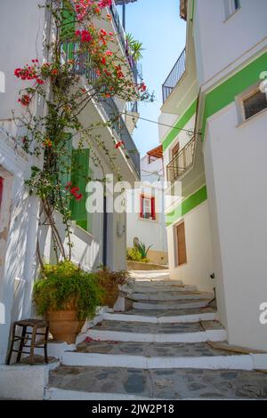 Vue sur l'étroite rue blanchie à la chaux, la ville de Skopelos, l'île de Skopelos, les îles Sporades, les îles grecques, Grèce, Europe Banque D'Images