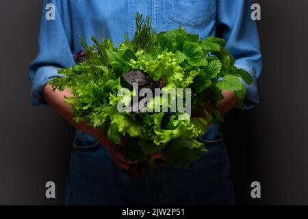 Les mains des femmes dans une chemise en denim bleu contenant un bouquet de feuilles de salade vertes, du basilic, du romarin et du baume de citron sur fond gris foncé Banque D'Images