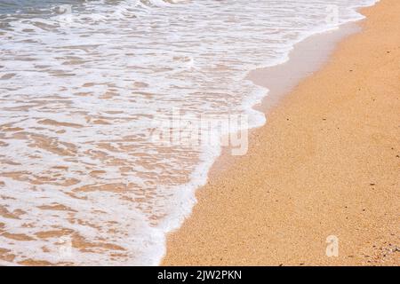 La côte de la mer d'Azov. Les vagues de la mer roulent sur le rivage sablonneux. Plage de sable de Seashell. Banque D'Images