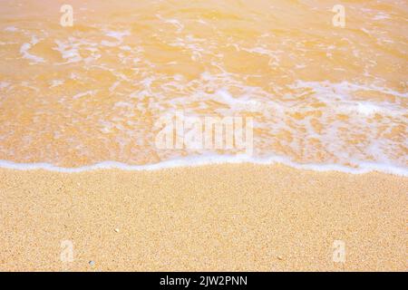 La côte de la mer d'Azov. Les vagues de la mer roulent sur le rivage sablonneux. Plage de sable de Seashell. Banque D'Images