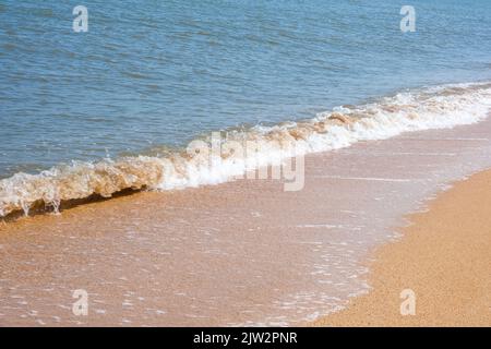 La côte de la mer d'Azov. Les vagues de la mer roulent sur le rivage sablonneux. Plage de sable de Seashell. Banque D'Images