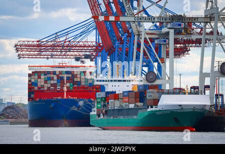 Hambourg, Allemagne. 01st septembre 2022. Les petits et grands navires à conteneurs sont amarrés au terminal des conteneurs de Tollerort, dans le port de Hambourg. Credit: Christian Charisius/dpa/Alay Live News Banque D'Images