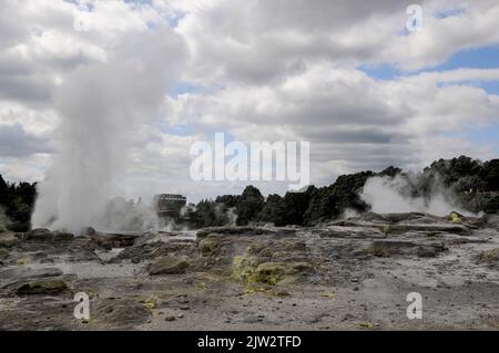 Le geyser de Pohutu éclate environ une ou deux fois par heure envoyant environ 30 mètres (quatre-vingt-dix pieds) de vapeur dans l'air à te Puia Whakarewarewa géothermique Banque D'Images