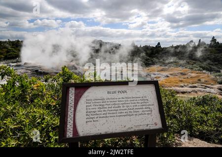La piscine bleue de la vallée géothermique de te Puia Whakarewarewa est entourée de bassins de boue bouillonnante à Rotorua, dans la région de la baie de Plenty, dans l'île du Nord Banque D'Images