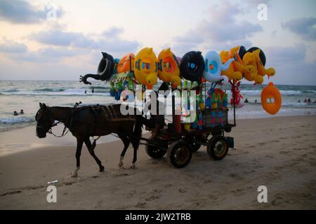 31 août 2022, ville de Gaza, bande de Gaza, Palestine : Gaza Palestine. 31 août 2022. Les Palestiniens profitent d'une chaude journée d'été au bord de la plage de la ville de Gaza. Pour les Palestiniens qui vivent dans la bande de Gaza blockée et surpeuplée, avec sa crise économique majeure et ses conflits constants avec Israël, la plage et la mer représentent leur seul débouché (Credit image: © Ahmad Haaballah/IMAGESLIVE via ZUMA Press Wire) Banque D'Images