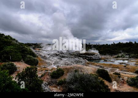 Le geyser de Pohutu éclate environ une ou deux fois par heure envoyant environ 30 mètres (quatre-vingt-dix pieds) de vapeur dans l'air à te Puia Whakarewarewa géothermique Banque D'Images