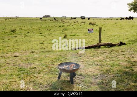 Une fosse à feu sur une ferme éclairée avec un petit feu et du bois recyclé écologique vous pouvez voir des flammes et de la fumée Banque D'Images