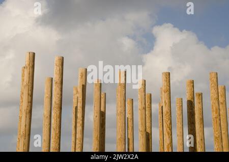 Las Palmas de Gran Canaria, 1 mars 2021: Sculpture formée de poteaux en bois. Grande Canarie. Îles Canaries. Espagne. Banque D'Images