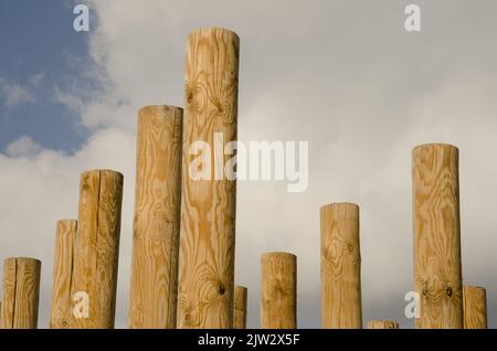 Las Palmas de Gran Canaria, 1 mars 2021: Sculpture formée de poteaux en bois. Grande Canarie. Îles Canaries. Espagne. Banque D'Images