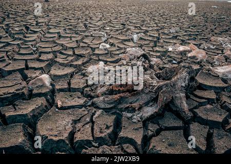 Sol du lac Mud séché, faibles niveaux d'eau pendant la sécheresse Banque D'Images