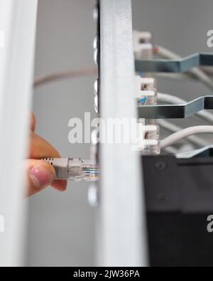 Établissement de la connexion. Gros plan du technicien connectant le câble réseau au serveur de vérification. Une main mâle installe le câble Internet dans la boîte à fusibles. Réseau conne Banque D'Images