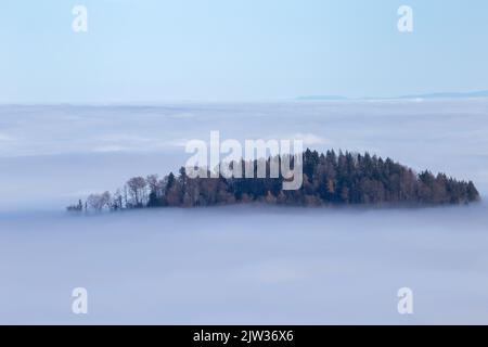 Vue des ruines de Schauenberg en Suisse sur la mer de ​​fog avec une île forestière. Banque D'Images