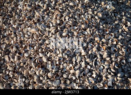 Une pile de limonettes sur la plage de Worthing, sur la côte sud de l'Angleterre, à West Sussex, au Royaume-Uni. Banque D'Images