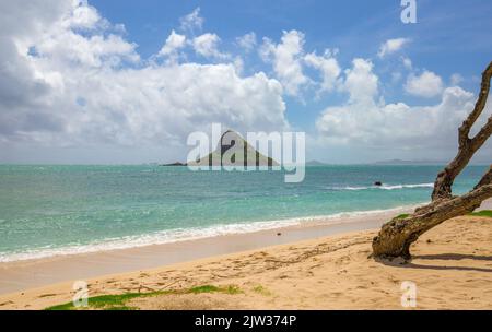 Photo populaire de l'île pittoresque de Mokolii au large de la baie de Kaneohe à Oahu, Hawaï. L'île fait partie du parc régional de Kualoa. Banque D'Images