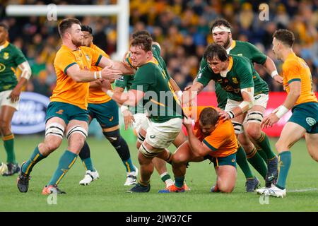 Sydney, Australie. 03rd septembre 2022. Jasper Wiese, de Springboks, organise le match de rugby eToro entre l'Australie et l'Afrique du Sud au stade Allianz de Sydney, en Australie, le 3 septembre 2022. Photo de Peter Dovgan. Utilisation éditoriale uniquement, licence requise pour une utilisation commerciale. Aucune utilisation dans les Paris, les jeux ou les publications d'un seul club/ligue/joueur. Crédit : UK Sports pics Ltd/Alay Live News Banque D'Images