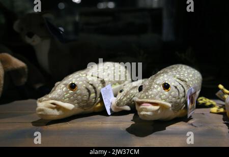 Jouets en peluche de pêche à l'anguille vendus dans la boutique de souvenirs de l'hôtel spa Järvisydän, Rantasalmi, Finlande. Banque D'Images