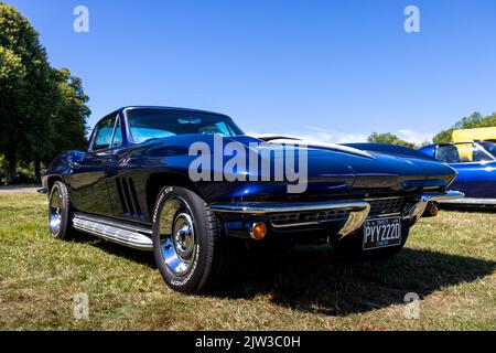 La Corvette Sting Ray coupé 1966 est exposée au American Auto Club Rally of the Giants, qui s'est tenu au Palais de Blenheim le 10 juillet 2022 Banque D'Images