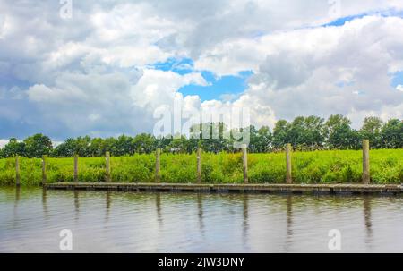 Magnifique paysage naturel vue panoramique avec arbres de forêt jetée jetée bateaux et vagues de l'Oste rivière dans hemmoor Hechthausen Cuxhaven Basse-Saxe Banque D'Images