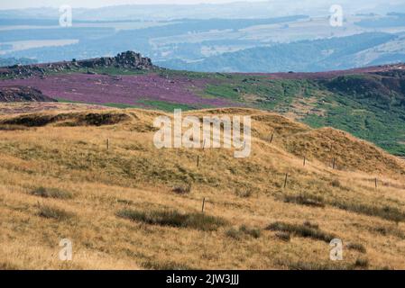 Magnifique paysage de jour d'été image de Higger Tor Heather vibrant vue de Stanage Edge dans Peak District Banque D'Images