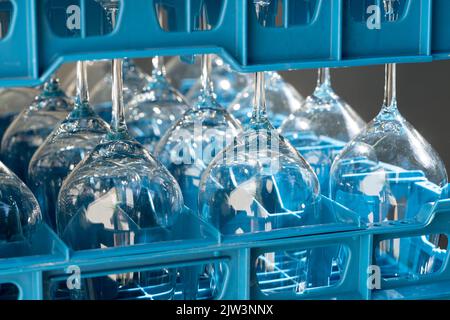 Boîtes en plastique bleu avec verres à vin brillants pour les restaurants à l'envers et reflétant la lumière Banque D'Images