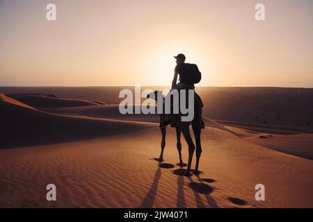 Promenade à dos de chameau dans le désert au coucher du soleil doré. Homme en voyage sur les dunes de sable. Wahiba Sands à Sultanat d'Oman. Banque D'Images