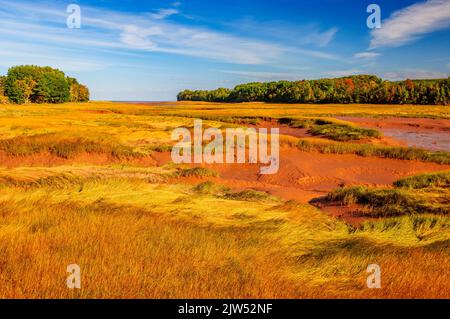 Marais de marée et des vasières à marée basse. neqar Delhaven sur la baie de Fundy en Nouvelle-Écosse Banque D'Images