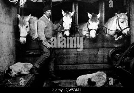 Capitaine Oates avec quelques-unes des poneys, expédition antarctique britannique dirigée par le capitaine Scott 1910 - 1913 Banque D'Images