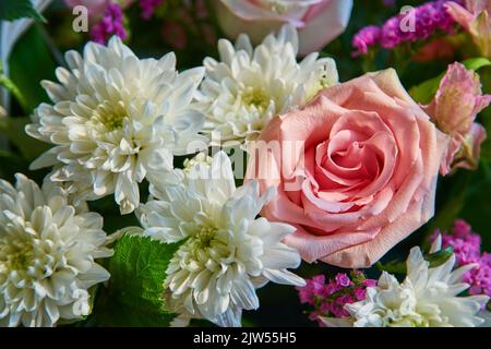 Bouquet de fleurs de roses, chrysanthèmes gros plan. Arrière-plan naturel. Banque D'Images