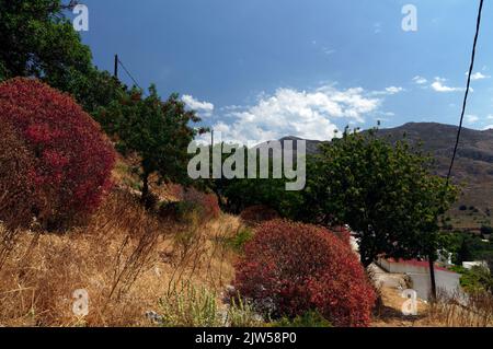 Île de Tilos, campagne. Dodécanèse, Grèce, UE. Pris en mai 2022. Ressort Banque D'Images