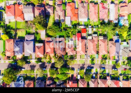 Rue résidentielle locale calme avec maisons individuelles dans la banlieue riche de Sydney Basse Côte-Nord Chatswood - vue aérienne en haut. Banque D'Images